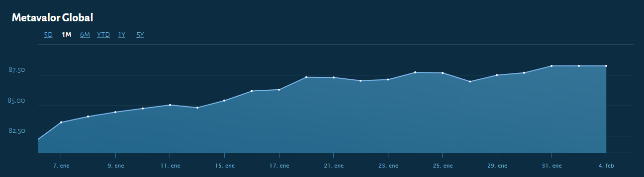 El Metavalor Global se revalorizó en enero un 7,2%.